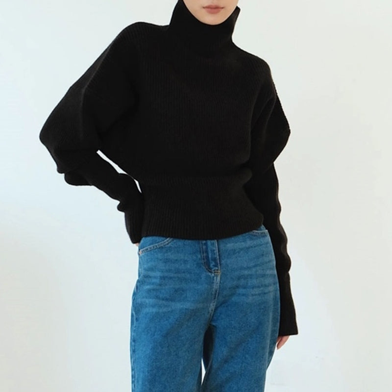 Cozy Luxe Turtleneck