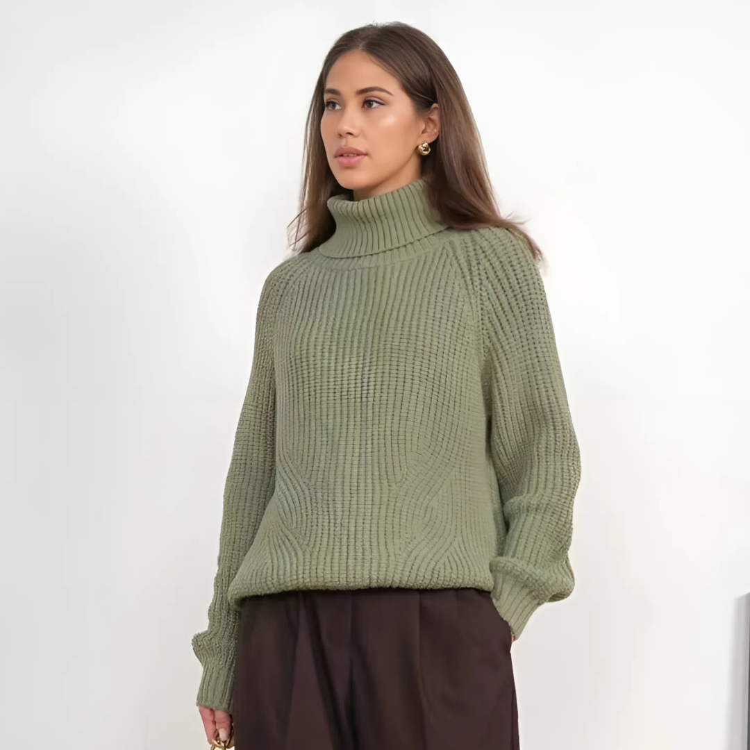 Classic Fit Turtleneck Sweater