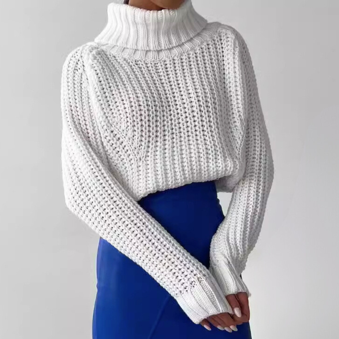 Sleek Knit Turtleneck